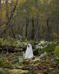 Dog in Ghost Costume in Woods. A white canine is draped in a white sheet, portraying a ghost,...