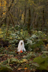 Dog in Ghost Costume in Woods. A white canine is draped in a white sheet, portraying a ghost,...