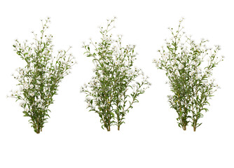 Fototapeta premium Variety of flowers and trees on transparent background