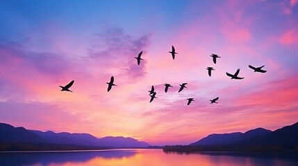 Silhouette of flying seagulls at sunset sky background