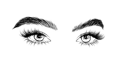 Illustration of Eye Extensions for Salon: Perfect for Social Media, Logo, and Icon. Explore the Latest Trend - the Stunning Wet Look Lashes and Naturally Full Eyebrows.