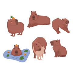 Vector collection with the image of a capybara on a white background.