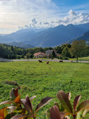 landscape with mountains