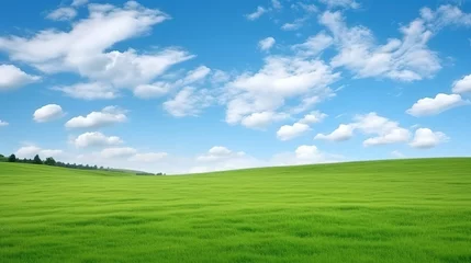 Fotobehang Green field and blue sky with white clouds © Sariyono