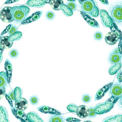 Single-celled bacteria and microorganisms. Round frame with place for text. For design and printing of packaging of bactericidal and hygiene products. Medical and educational booklets, brochures. 