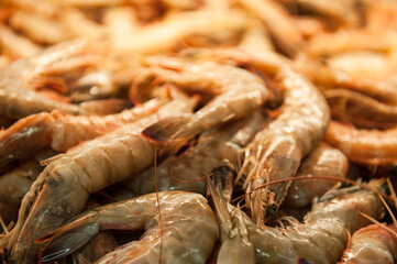 Camarões expostos para venda na peixaria.
