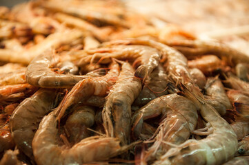 Camarões expostos para venda na peixaria.
