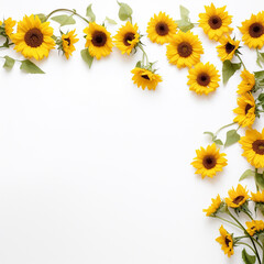 Beautiful sunflower border