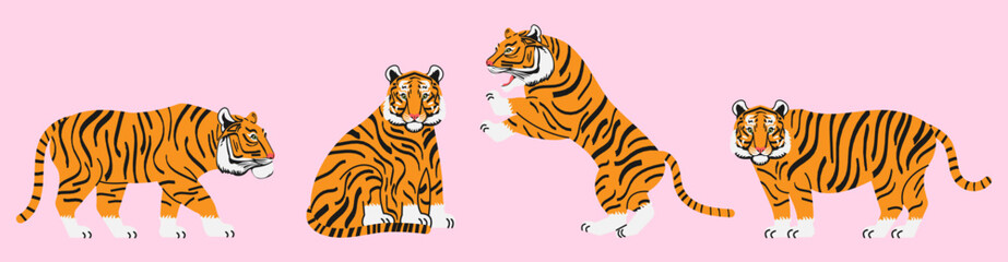 Set of tigers in different poses, in flat style. The tiger stands, lies, walks, hunts. Animals of Asia. Big cats.