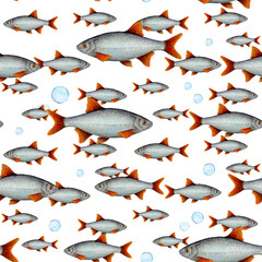 Watercolor drawing pattern from fish with red fins in different sizes and air bubbles on white background. Hand drawn for wallpapers, logo, banners, icon, cards, leaflets, textiles, postcards