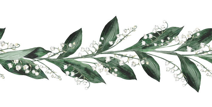 Watercolor border illustration lilies of the valley with white flowers and green leaves isolated on white background. Element hand painted natural plant twigs with spring forest primroses