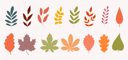 Fototapeta na wymiar Vector set of autumn leaf and branch silhouettes. Botanical design elements. Vector illustration