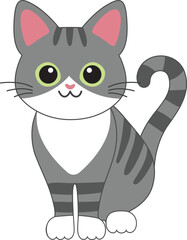 A Tabby cat, also known as grey tiger, or simply tabby with green eyes.