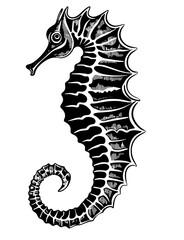 Fototapeta premium Seahorse Underwater Depth Abyss Spikes Fish Tattoo Print Stamp