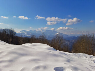 A snowy day in the mountain, the sun is shining, which melts the snow with the mood of the tree and the cloudy sky.