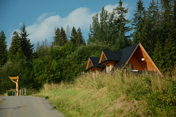 cottage wooden houses for relaxation in the mountains against the backdrop of a forest landscape