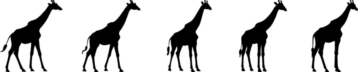 Set of vector silhouettes of giraffes