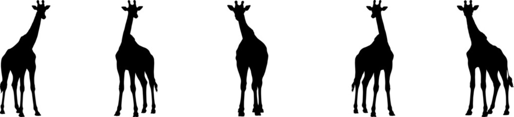 Set of vector silhouettes of giraffes - obrazy, fototapety, plakaty