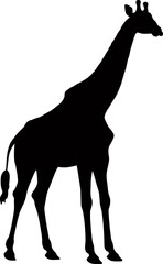 Giraffe isolated on white background, silhouette, vector illustration