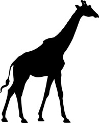 Giraffe isolated on white background, silhouette, vector illustration