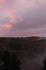 Nebel