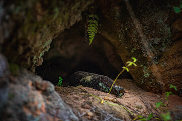 Bottle in the hole in the wall