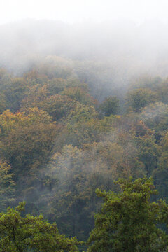 Nebel