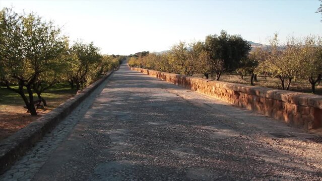 agrigento sicily italy ancient road street by temple of juno concordia pillars with trees beside it