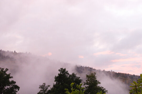 Nebel
