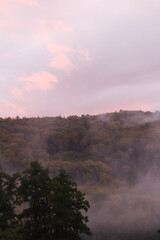Nebel