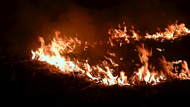 Burning dry grass in the field at night. Dry grass burns on meadow. Wildfire. Orange flames and billowing smoke. Open fire. Bush fire in wilderness area. Danger.