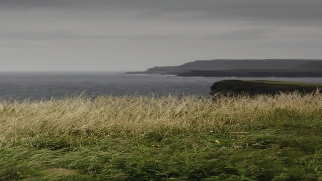 Wind blowing tall grass near scenic view of ocean - vertical / Londonderry, Northern Ireland