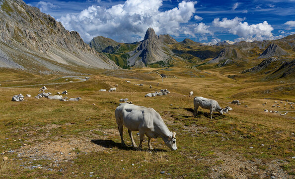 Altopiano Gardetta, Rocca La Meja in the Maira Valley, in Piedmont, near Cuneo