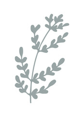 Twigs with leaves isolated on a white background. Vector hand drawn illustration. Ideal for cards, logos, decorations, invitations, cosmetic design. Vector illustration