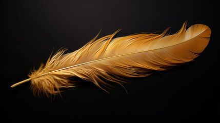 Obraz premium pena dourada de luxo em fundo preto 