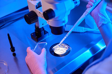 Experienced researcher preparing biological samples for microscopic examination