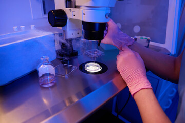 Experienced embryologist is choosing egg samples for cryopreservation