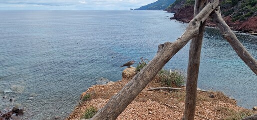 Porto Des Canonge is situated on the North West coast of Mallorca. charming stone beach, it is set against a backdrop nice trail to banyalbulfar with scenic views