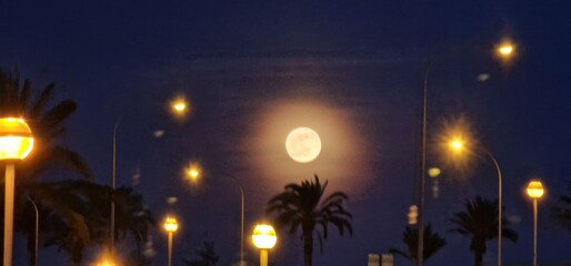 moon over the subtropical tourist destination