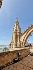 Fototapeta na wymiar terrific view from la seu terraces on port and shore of palma de mallorca 