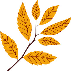 Tree branch with leaves. Autumn leaf design element vector illustration