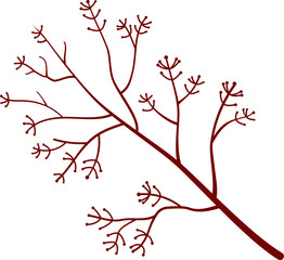 Berries on branch vector illustration. Autumn Berries design element