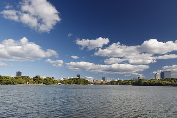Fototapeta premium 博多、大濠公園から見た博多港方向の景色