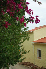 Small Village in Portugal Algarve with market and gardens