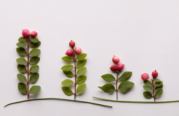 Arrangement with fresh green twigs and pink berries