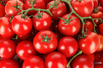 Many fresh ripe cherry tomatoes as background, top view