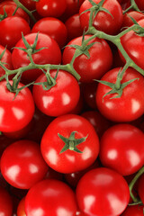 Many fresh ripe cherry tomatoes as background, top view