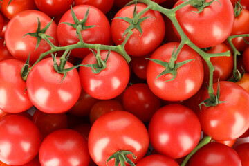 Many fresh ripe cherry tomatoes as background, top view