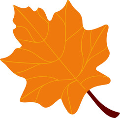 Leaf vector illustration. Autumn leaf design element