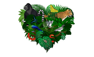 jungle rainforest heart illustrations with goliath beetle, gorilla, leopard, lemur, turaco and butterflies